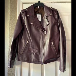 Genuine Leather Moto Jacket Eggplant Purple LG NEW